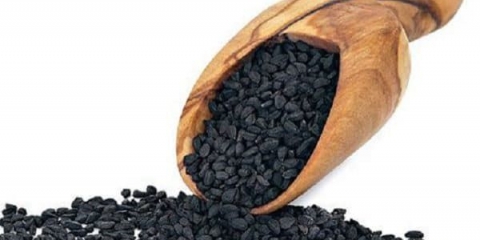 Kako uzgajati set luka iz sjemena nigela - sorte